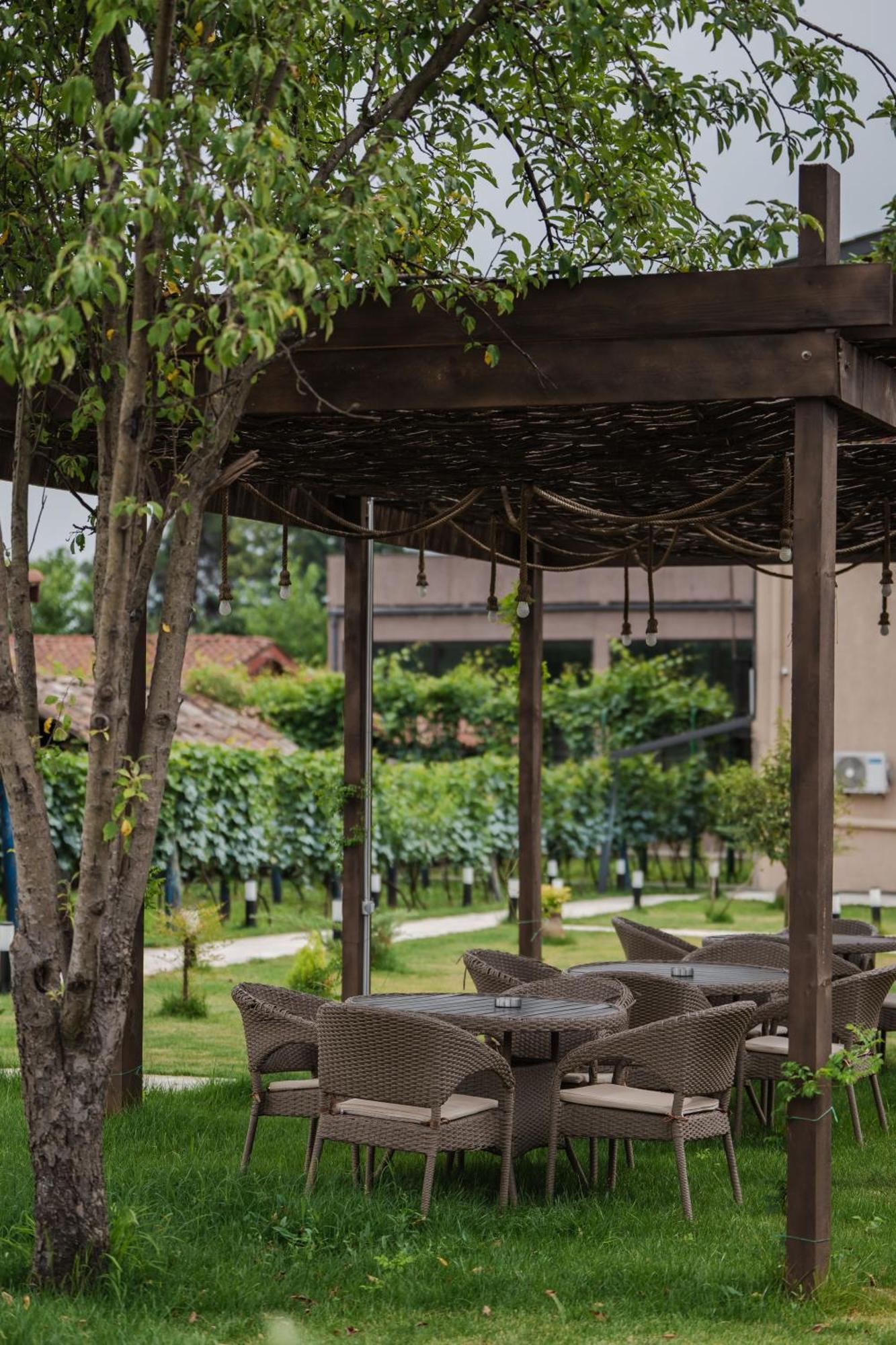 Vineyard Hotel & Winery Napareuli Екстериор снимка